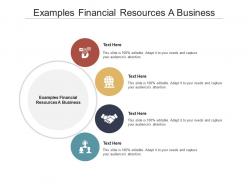 Examples financial resources a business ppt powerpoint presentation icon graphics cpb