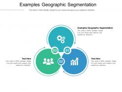 Examples geographic segmentation ppt powerpoint presentation infographic template templates cpb