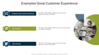 Examples Great Customer Experience In Powerpoint And Google Slides Cpb
