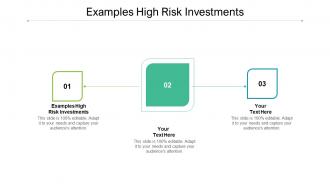 Examples High Risk Investments Ppt Powerpoint Presentation Model Backgrounds Cpb