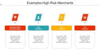 Examples High Risk Merchants Ppt Powerpoint Presentation Styles Gridlines Cpb
