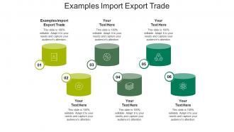 Examples import export trade ppt powerpoint presentation slides example introduction cpb