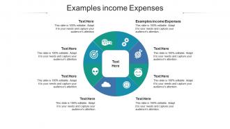 Examples income expenses ppt powerpoint presentation layouts display cpb