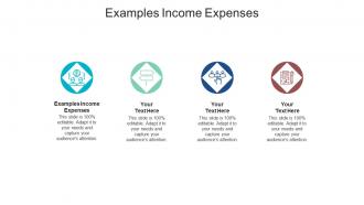 Examples income expenses ppt powerpoint presentation visual aids infographics cpb