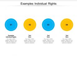 Examples individual rights ppt powerpoint presentation portfolio graphic images cpb