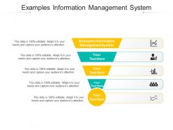 Examples information management system ppt powerpoint presentation icon cpb