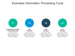 Examples information processing cycle ppt powerpoint presentation portfolio layout ideas cpb
