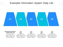 Examples information system daily life ppt powerpoint presentation outline gallery cpb