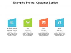 Examples internal customer service ppt powerpoint presentation layouts graphic images cpb