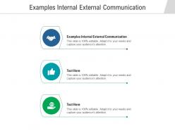 Examples internal external communication ppt powerpoint presentation summary example cpb
