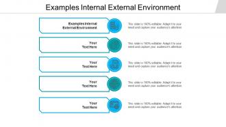 Examples internal external environment ppt powerpoint presentation portfolio cpb