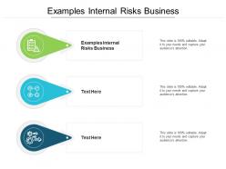 Examples internal risks business ppt powerpoint presentation show graphics cpb