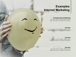Examples internet marketing ppt powerpoint presentation slides summary cpb