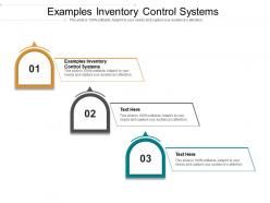 Examples inventory control systems ppt powerpoint presentation slides design inspiration cpb