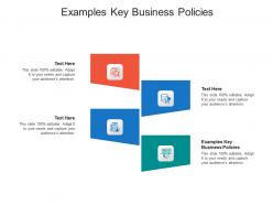 Examples key business policies ppt powerpoint presentation information cpb