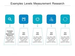 Examples levels measurement research ppt powerpoint presentation templates cpb