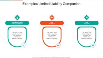 Examples Limited Liability Companies In Powerpoint And Google Slides Cpb