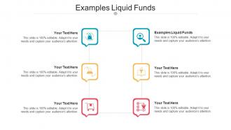 Examples Liquid Funds Ppt Powerpoint Presentation Pictures Guidelines Cpb