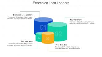 Examples Loss Leaders Ppt Powerpoint Presentation Ideas Graphics Design Cpb