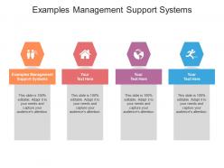 Examples management support systems ppt powerpoint presentation portfolio background image cpb