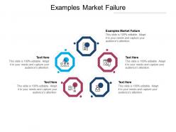 Examples market failure ppt powerpoint presentation layouts diagrams cpb