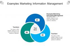 Examples marketing information management ppt powerpoint presentation gallery gridlines cpb