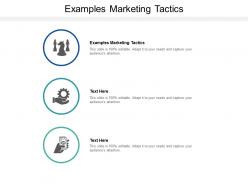 Examples marketing tactics ppt powerpoint presentation portfolio clipart cpb