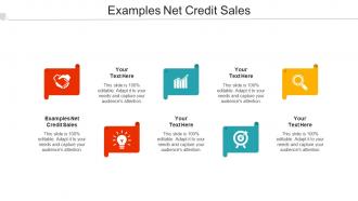 Examples Net Credit Sales Ppt Powerpoint Presentation Inspiration Designs Cpb