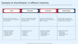 Examples Of Diversification In Different Industries Diversification In Business To Expand Strategy SS V