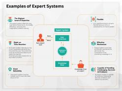 Examples of expert systems right time ppt powerpoint presentation visual aids professional