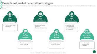 Examples Of Market Penetration Strategies Business Growth And Success Strategic Guide Strategy SS