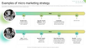 Examples Of Micro Marketing Strategy Selecting Target Markets And Target Market Strategies