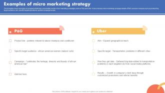 Examples Of Micro Marketing Strategy Types Of Target Marketing Strategies