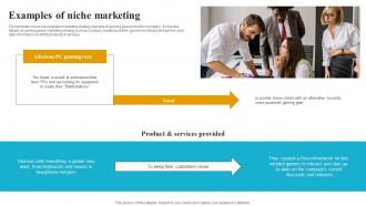 Examples Of Niche Marketing How To Create A Target Market Strategy Strategy Ss V