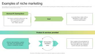 Examples Of Niche Marketing Selecting Target Markets And Target Market Strategies