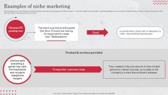 Examples Of Niche Marketing Target Market Definition Examples Strategies And Analysis