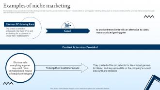 Examples Of Niche Marketing Targeting Strategies And The Marketing Mix