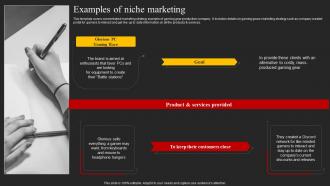 Examples Of Niche Marketing Top 5 Target Marketing Strategies You Need Strategy SS
