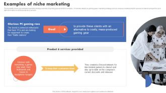 Examples Of Niche Marketing Types Of Target Marketing Strategies
