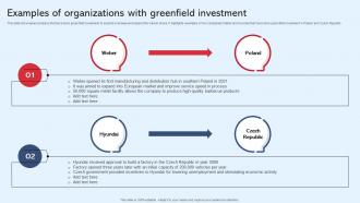 Examples Of Organizations With Greenfield Diversification In Business To Expand Strategy SS V