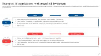 Examples Of Organizations With Strategic Diversification To Reduce Strategy SS V