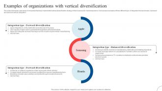 Examples Of Organizations With Vertical Strategic Diversification To Reduce Strategy SS V