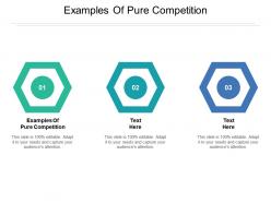 Examples of pure competition ppt powerpoint presentation file samples cpb