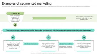 Examples Of Segmented Marketing Selecting Target Markets And Target Market Strategies