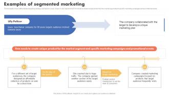 Examples Of Segmented Marketing Types Of Target Marketing Strategies