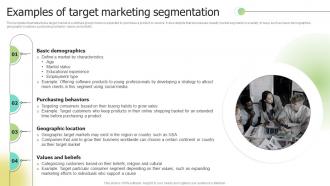 Examples Of Target Marketing Segmentation Selecting Target Markets And Target Market Strategies