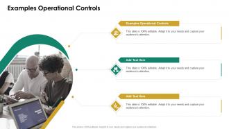 Examples Operational Controls In Powerpoint And Google Slides Cpb
