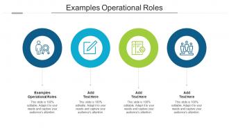Examples Operational Roles Ppt Powerpoint Presentation Professional Display Cpb
