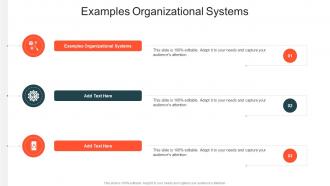 Examples Organizational Systems In Powerpoint And Google Slides Cpb