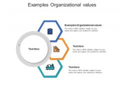 Examples organizational values ppt powerpoint presentation ideas good cpb